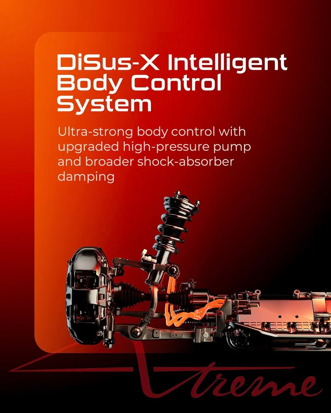 DiSus-X